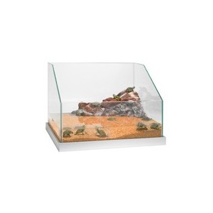 OTTAVI TARTARUGHIERA CM 80 COMPLETA