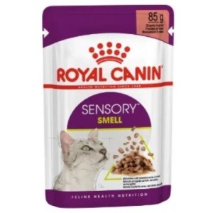 ROYAL CANIN BUSTA SENSORY SMELL GRAVY