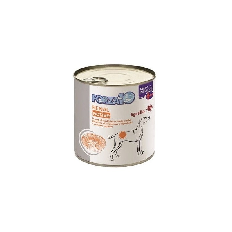 FORZA 10 RENAL GR. 390