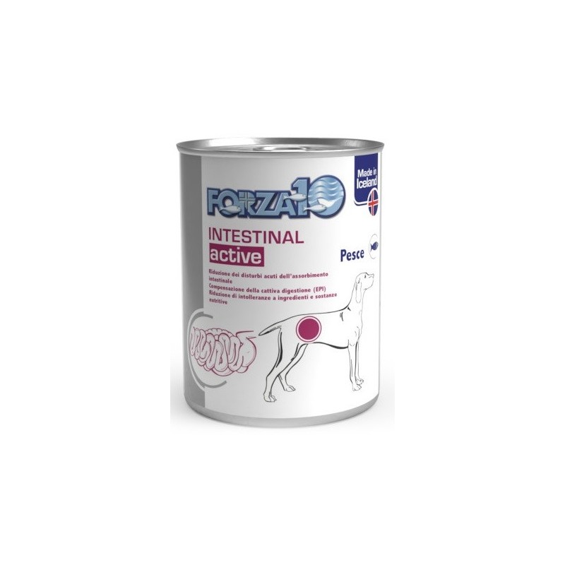 FORZA 10 INTESTINAL GR. 390
