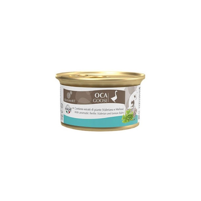 EQUILIBRIA GR. 85 OCA