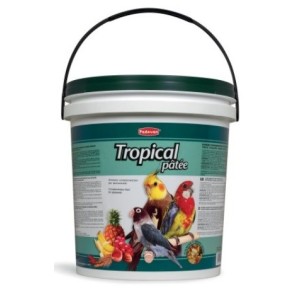 PADOVAN PASTONCINO TROPICAL PATE' KG.20