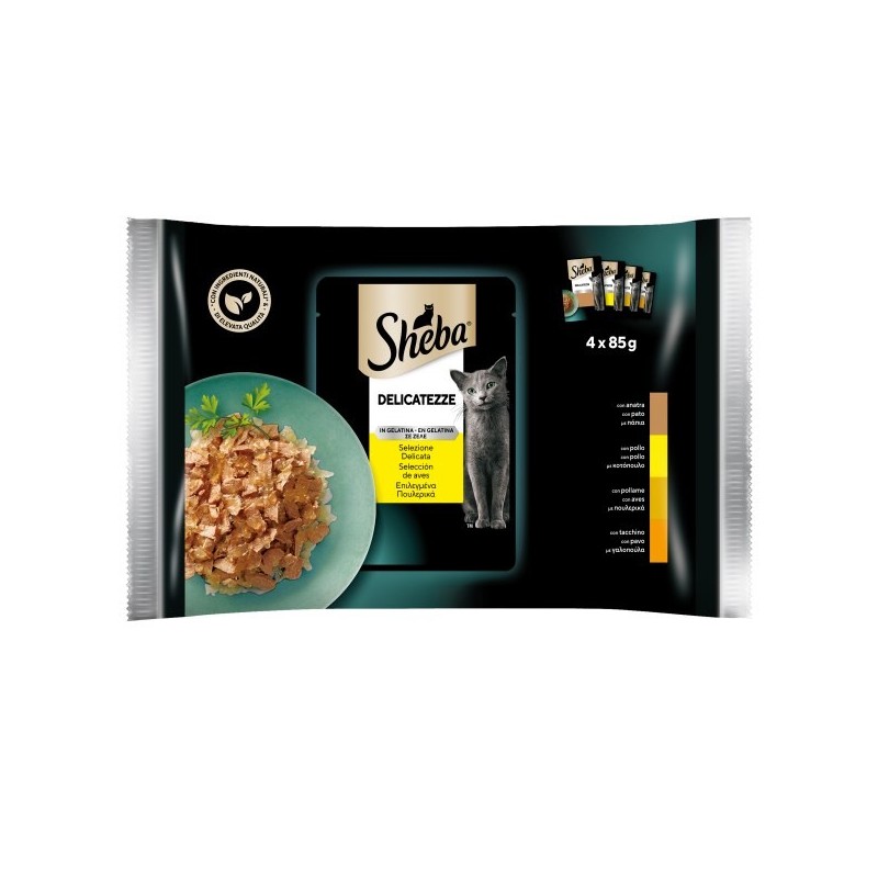 SHEBA BUSTA DELICATEZZE in gelatina DELICATA 4X85 GR