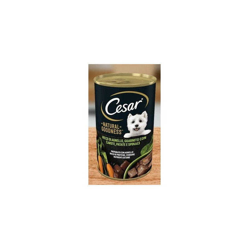 CESAR LATTINA GR 400 AGNELLO