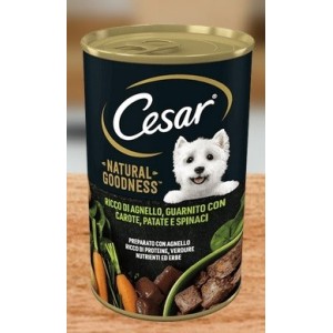 CESAR LATTINA GR 400 AGNELLO