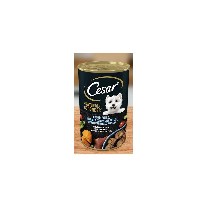 CESAR LATTINA GR 400 POLLO