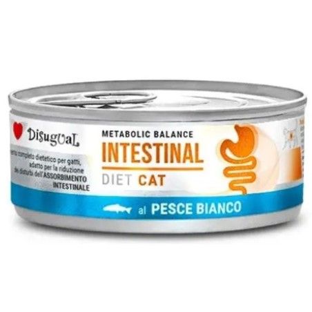 DISUGUAL DIET CAT INTESTINAL GR 85 PESCE
