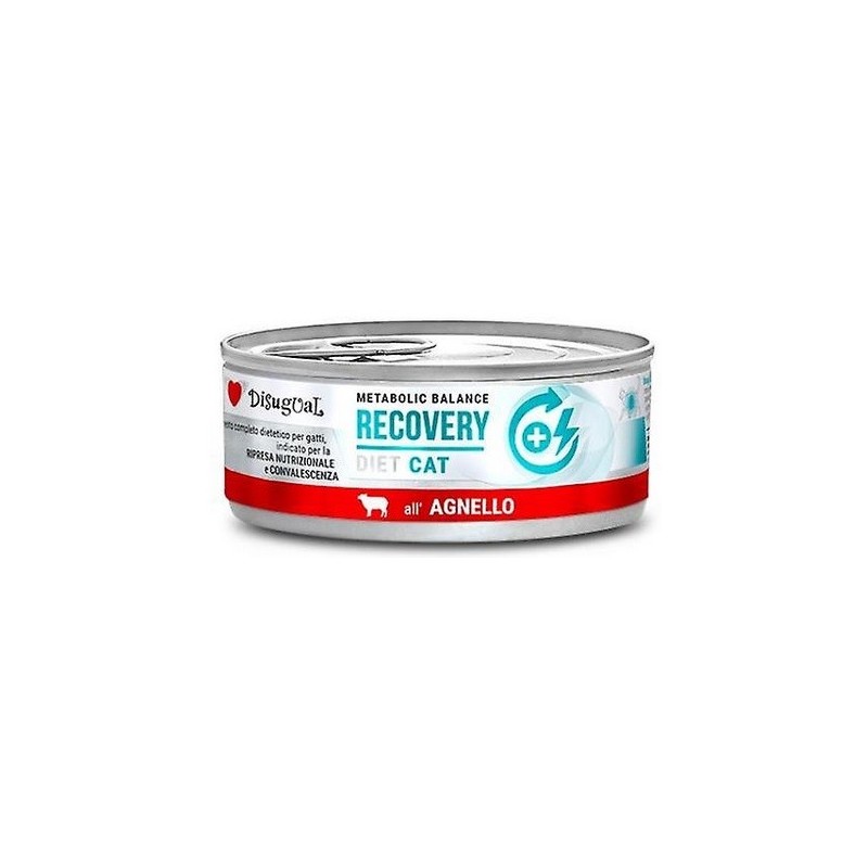 DISUGUAL DIET CAT RECOVERY GR 85 AGNELLO