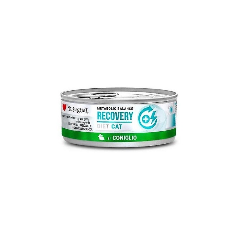 DISUGUAL DIET CAT RECOVERY GR 85 CONIGLIO