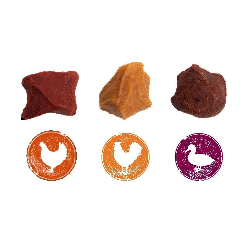 8in1 FLAVOURS TREATS SKEWER BITES 100gr