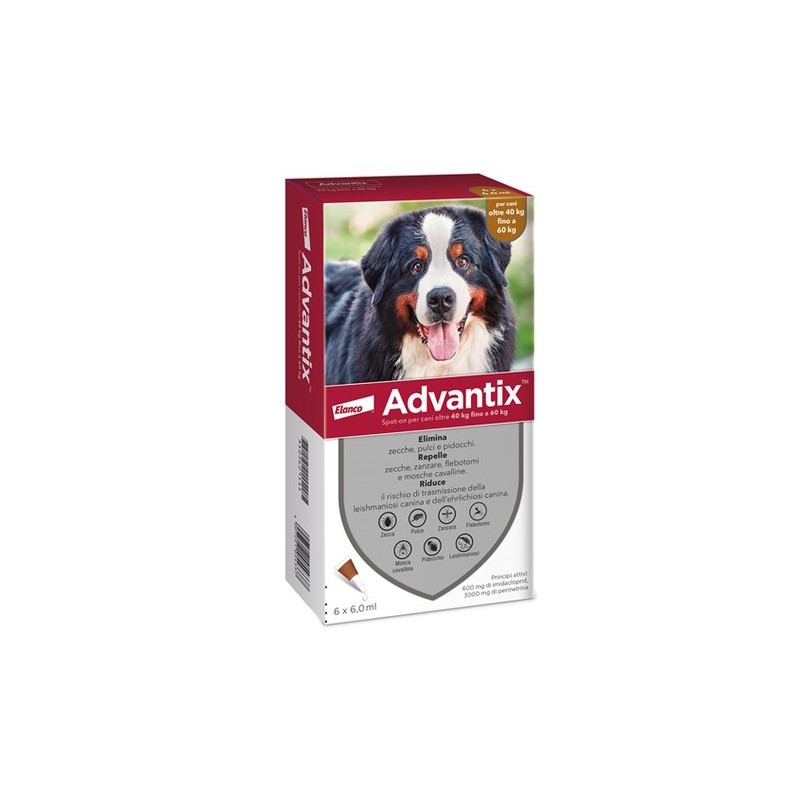 ADVANTIX 40-60 KG 6 PIPETTE