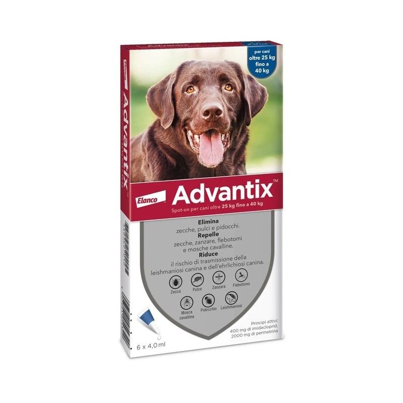 ADVANTIX 25-40 KG 6 PIPETTE