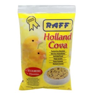 RAFF PASTONCINO HOLLAND COVA KG.4