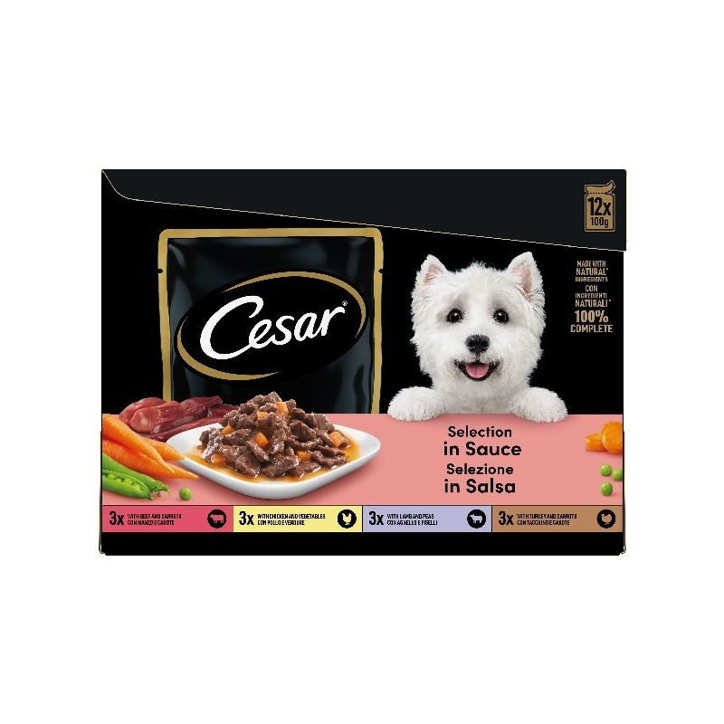 CESAR BUSTA 100GR X12 IN SALSA