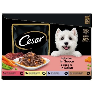 CESAR BUSTA 100GR X12 IN SALSA