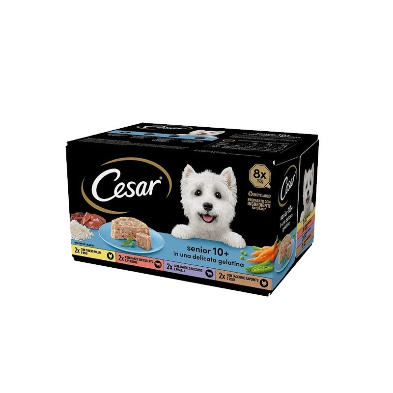 CESAR VASCHETTA multipack 8X150GR SENIOR