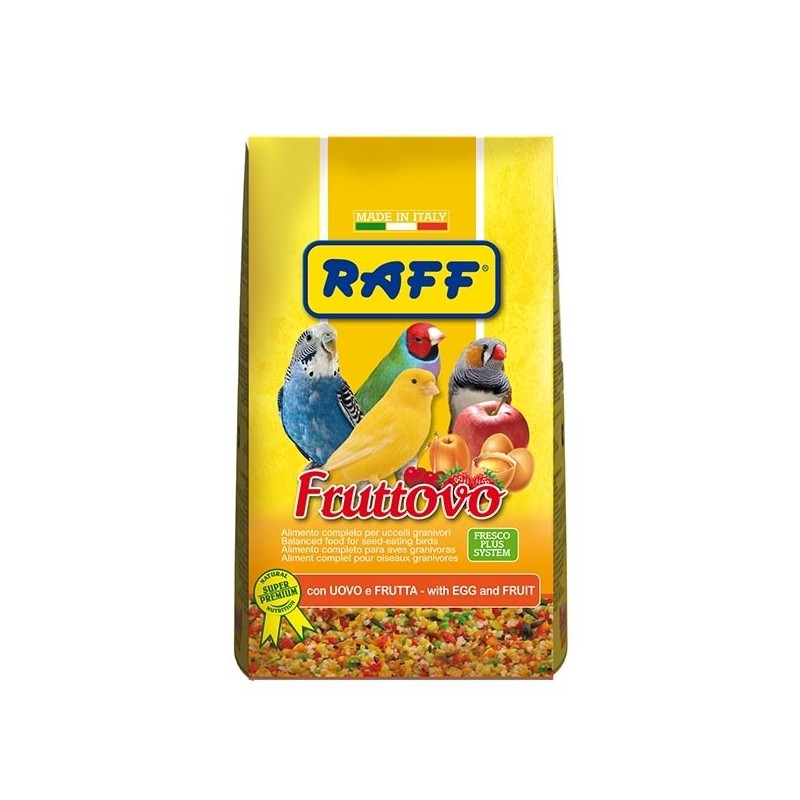 RAFF PASTONCINO FRUTTOVO GR.400