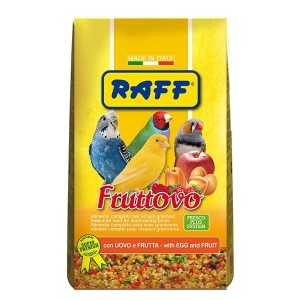 RAFF PASTONCINO FRUTTOVO GR.400