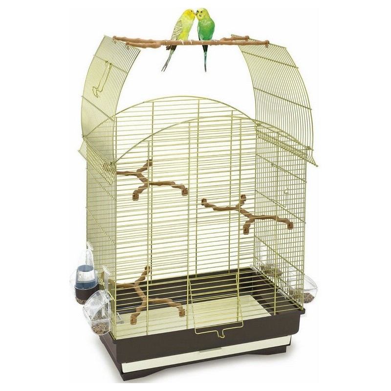 IMAC GABBIA AGATA ORO 