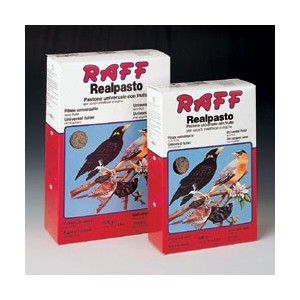 RAFF REALPASTO KG.4