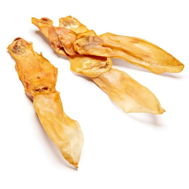 REX ORECCHIE DI CONIGLIO 8 PEZZI