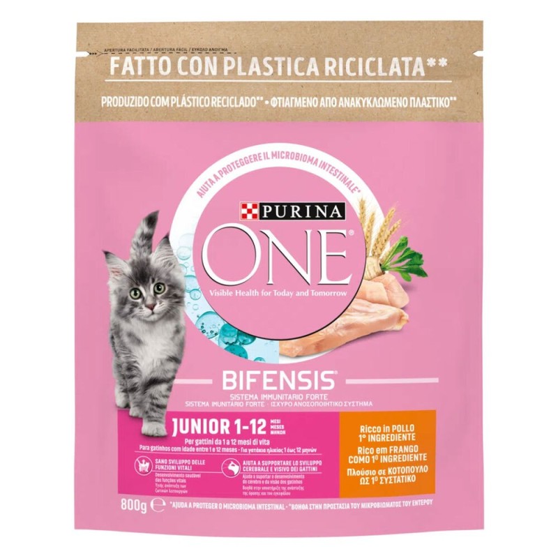 PURINA ONE JUNIOR POLLO GR 800