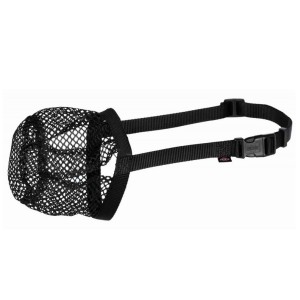 TRIXIE MUSERUOLA CONTRO BOCCONI AVVELENATI L