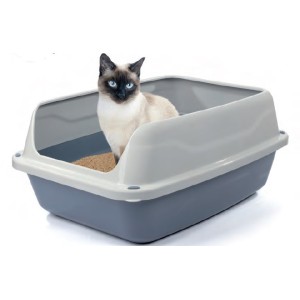 TOILETTE SONIC MEDIUM 