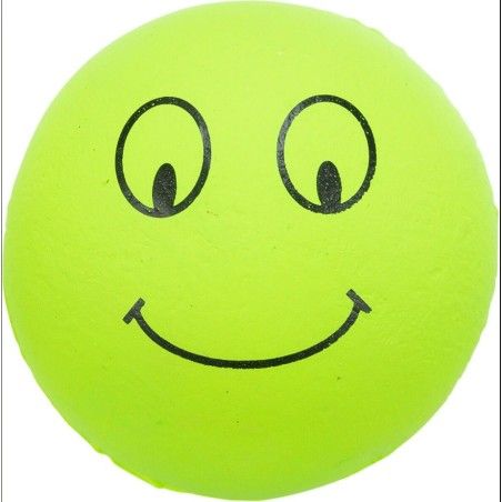 GIOCO PALLA SMILE CM 6 TRIXIE