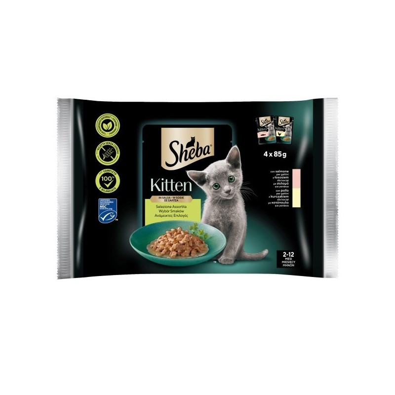 SHEBA BUSTA KITTEN SELEZIONE ASSORTITA 4X85 GR