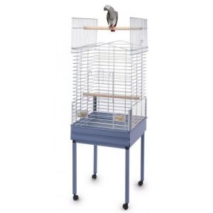 IMAC GABBIA EZIA SPECIAL...