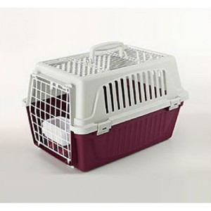 TRASPORTINO ATLAS 10 OPEN