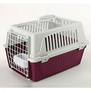 TRASPORTINO ATLAS 20 OPEN...