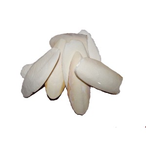 ***NON DISPONIBILE***OSSO DI SEPPIA KG.1   --18/20 CM-- 