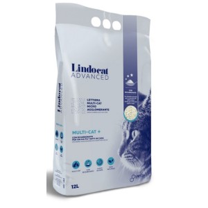 LINDO CAT ADVANCED LETTIERA...