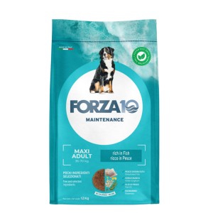 FORZA 10 DOG MAINTENANCE...