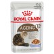 ROYAL CANIN BUSTA GR.85 AGEING +12 JELLY 