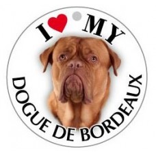 DOGUE DE BORDEAUX - TONDA ( Dim. 30x30 )
