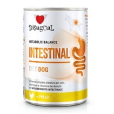 DISUGUAL DIET DOG INTESTINAL POLLO GR 400