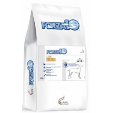 FORZA 10 LUX KG. 4
