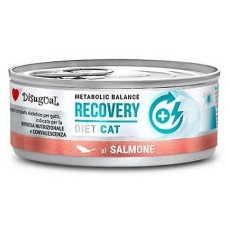 DISUGUAL DIET CAT RECOVERY GR 85 SALMONE