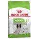 ROYAL CANIN X-SMALL ADULT+8 GR. 500