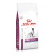 ROYAL CANIN RENAL CANE SPECIAL 10KG