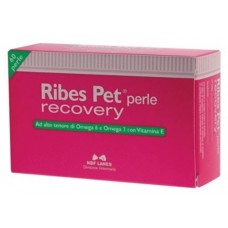 RIBES PET PERLE RECOVERY 60 PERLE