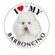 BARBONCINO BIANCO - TONDA ( Dim. 25x25 )