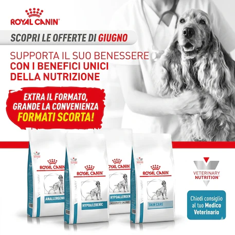 Lettiera per gatti in acciaio inossidabile