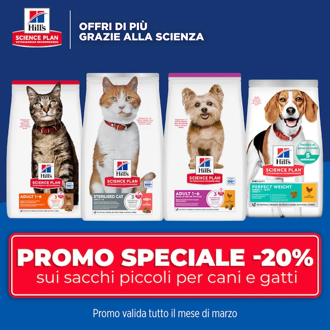 Lettiera per gatti in acciaio inossidabile