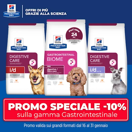 Sacco scorta Sconto 15%