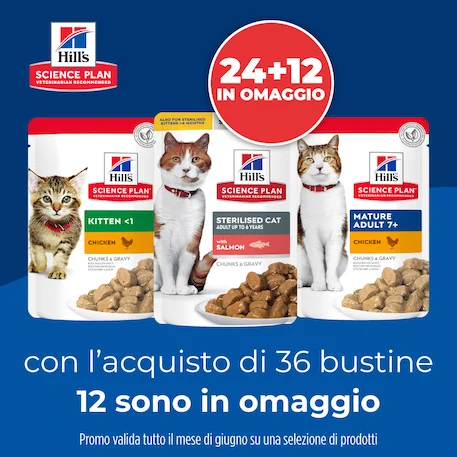 Sacco scorta Sconto 15%