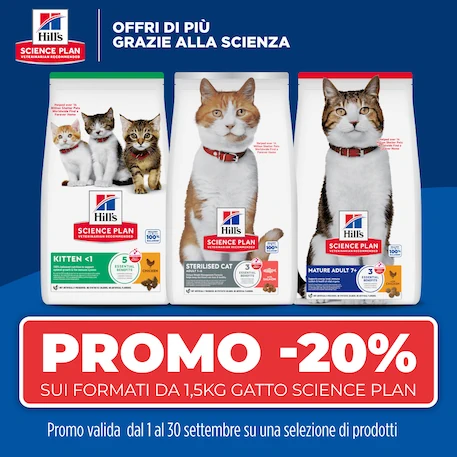 Lettiera per gatti in acciaio inossidabile